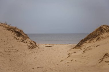 Tepeleri Baltık Denizi sahil şeridi üzerinde güzel bir manzara