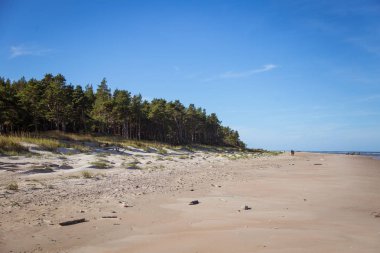 Tepeleri Baltık Denizi sahil şeridi üzerinde güzel bir manzara