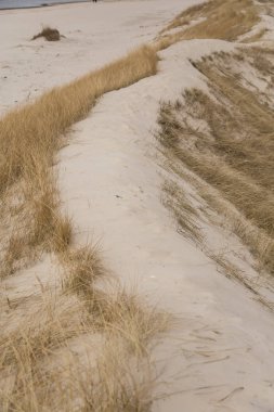 Tepeleri Baltık Denizi sahil şeridi üzerinde güzel bir manzara