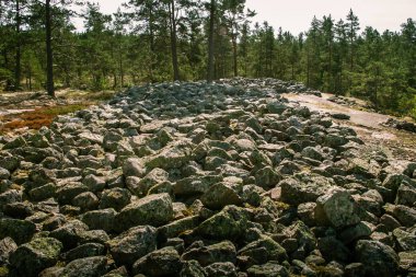 Finlandiya'da bir güzel kayalık orman manzara