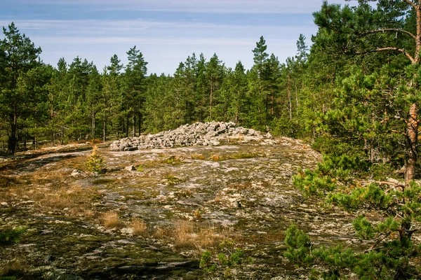 Een prachtige rotsachtige boslandschap in Finland — Stockfoto