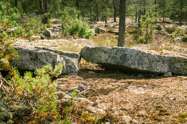 Uma bela paisagem florestal rochosa na Finlândia — Fotografia de Stock