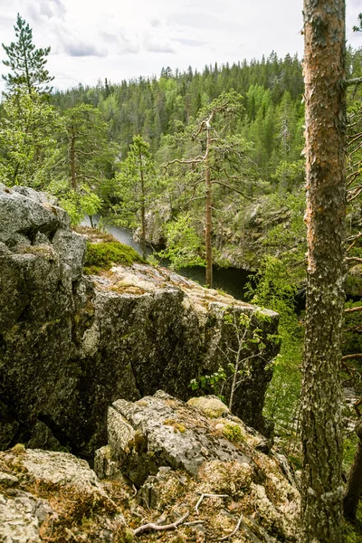 En vacker stenig skogslandskap i Finland — Stockfoto