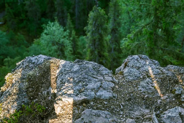 Finlandiya'da bir güzel kayalık orman manzara — Stok fotoğraf