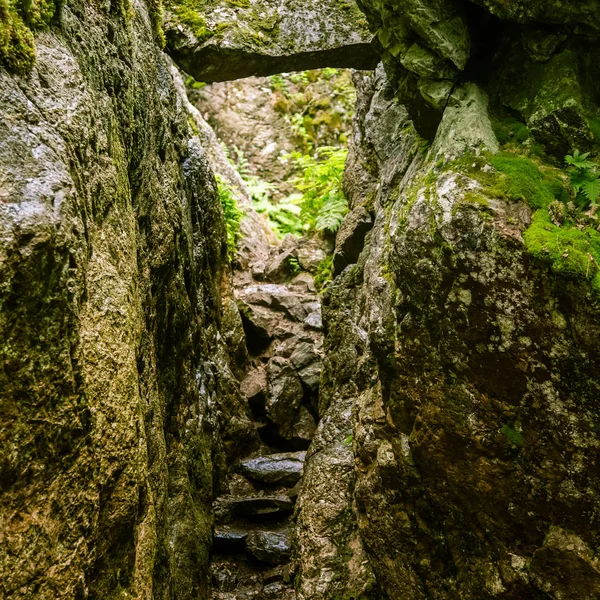 Een prachtige rotsachtige boslandschap in Finland — Stockfoto