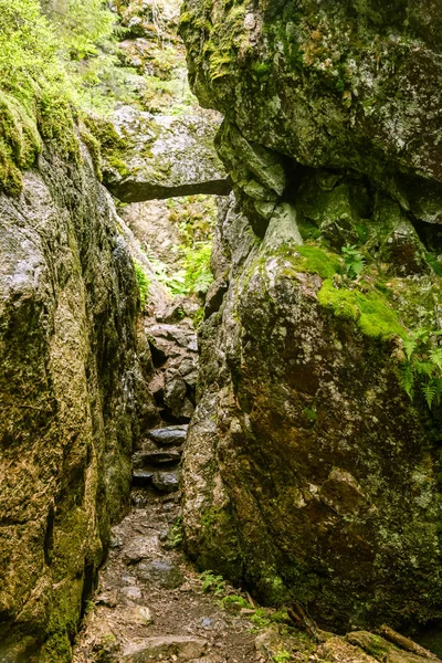 Een prachtige rotsachtige boslandschap in Finland — Stockfoto