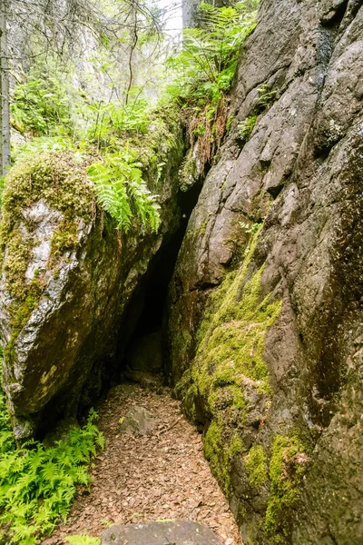 Een prachtige rotsachtige boslandschap in Finland — Stockfoto