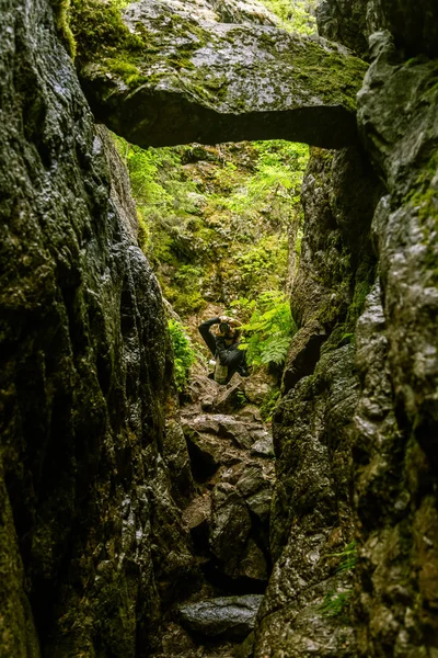 Eine schöne felsige Waldlandschaft in Finnland — Stockfoto