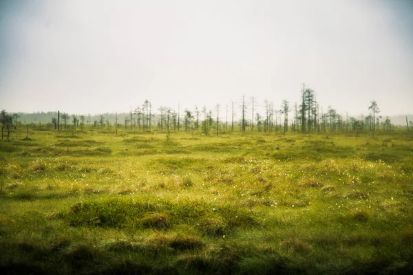 Un beau paysage de boue en Finlande - look rêveur et brumeux — Photo