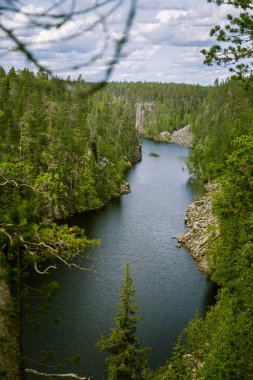 Hossa Finlandiya üzerinden güzel bir göl ve orman manzara