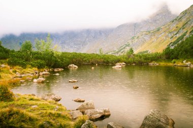 Güzel dağ göl manzara Tatry, Slovakya