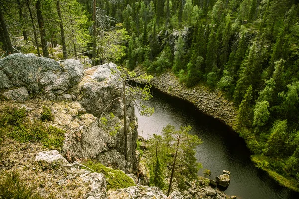 Hossa Finlandiya üzerinden güzel bir göl ve orman manzara