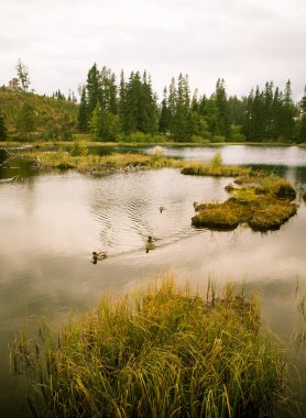 Güzel dağ göl manzara Tatry, Slovakya