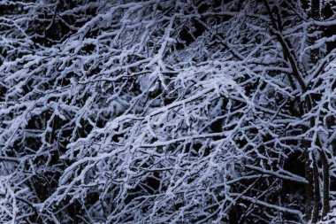 Güzel kış manzara gri, Kuzey Avrupa'da gün bulutlu