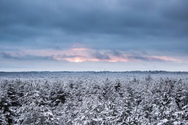 Gri, bulutlu gün - watchtower görünümünden nordic Avrupa'da bir güzel kış manzarası