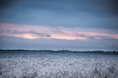 Gri, bulutlu gün - watchtower görünümünden nordic Avrupa'da bir güzel kış manzarası