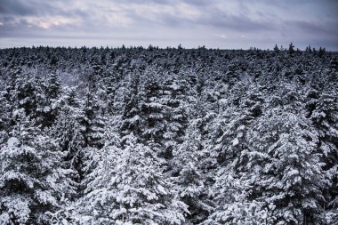 Gri, bulutlu gün - watchtower görünümünden nordic Avrupa'da bir güzel kış manzarası