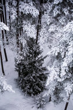 Gri, bulutlu gün - watchtower görünümünden nordic Avrupa'da bir güzel kış manzarası