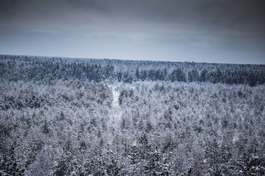 Gri, bulutlu gün - watchtower görünümünden nordic Avrupa'da bir güzel kış manzarası