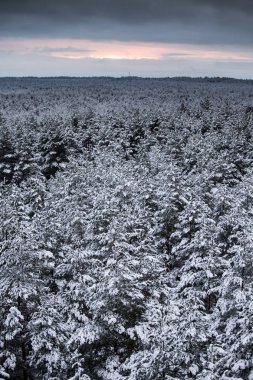 Gri, bulutlu gün - watchtower görünümünden nordic Avrupa'da bir güzel kış manzarası