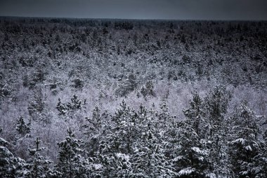 Gri, bulutlu gün - watchtower görünümünden nordic Avrupa'da bir güzel kış manzarası