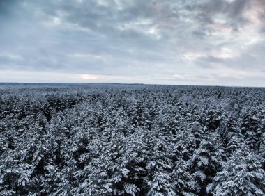 Gri, bulutlu gün - watchtower görünümünden nordic Avrupa'da bir güzel kış manzarası