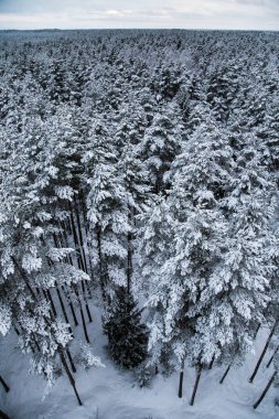 Gri, bulutlu gün - watchtower görünümünden nordic Avrupa'da bir güzel kış manzarası