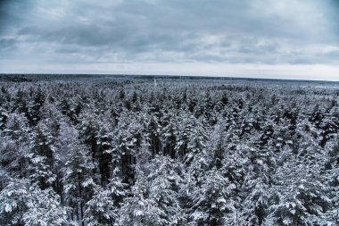 Gri, bulutlu gün - watchtower görünümünden nordic Avrupa'da bir güzel kış manzarası