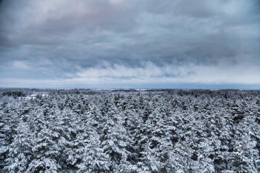 Gri, bulutlu gün - watchtower görünümünden nordic Avrupa'da bir güzel kış manzarası