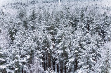 Gri, bulutlu gün - watchtower görünümünden nordic Avrupa'da bir güzel kış manzarası
