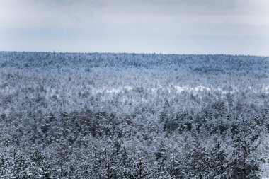 Gri, bulutlu gün - watchtower görünümünden nordic Avrupa'da bir güzel kış manzarası