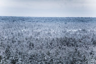 Gri, bulutlu gün - watchtower görünümünden nordic Avrupa'da bir güzel kış manzarası