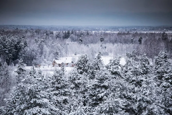 A beautiful winter landscape in nordic Europe in gray, overcast day - a view from watchtower — Stock Photo, Image