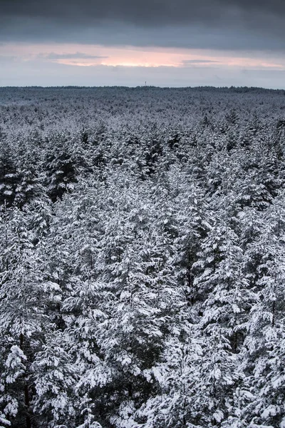 Gri, bulutlu gün - watchtower görünümünden nordic Avrupa'da bir güzel kış manzarası