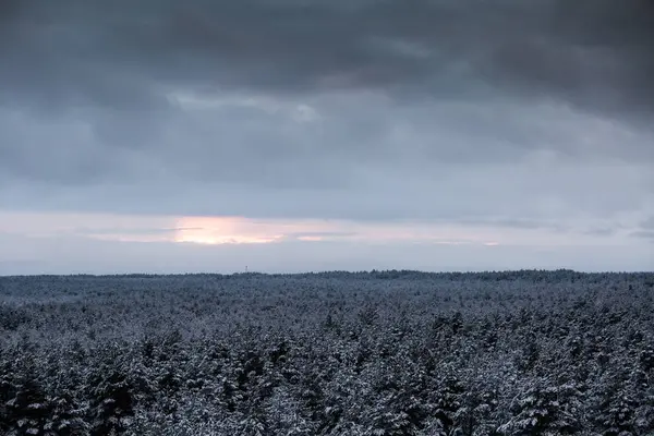Gri, bulutlu gün - watchtower görünümünden nordic Avrupa'da bir güzel kış manzarası
