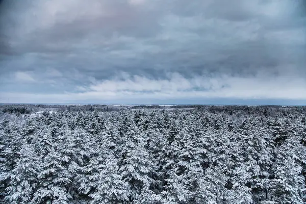 Gri, bulutlu gün - watchtower görünümünden nordic Avrupa'da bir güzel kış manzarası