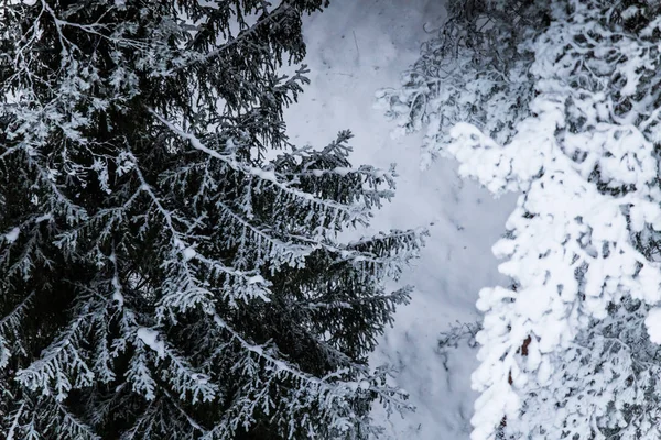 Un beau paysage hivernal en Europe du Nord par temps gris et couvert - une vue depuis la tour de guet — Photo