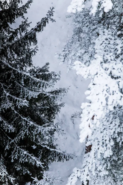 북유럽 유럽 회색, 흐린 날-망루에서 보기에에서 아름 다운 겨울 풍경 — 스톡 사진