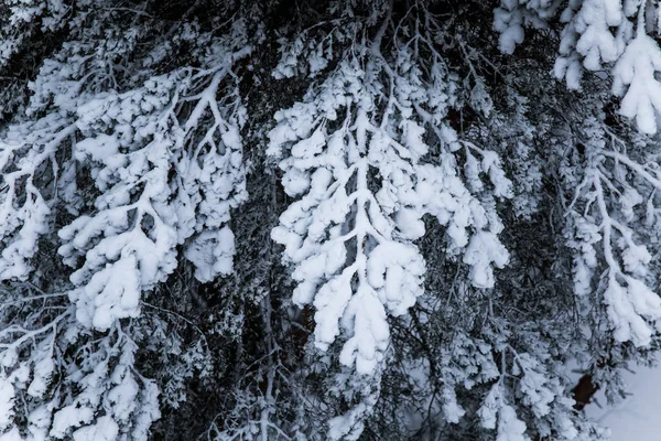 Piękny zimowy krajobraz w nordic Europy w szary, pochmurny dzień - widok z wieży strażniczej — Zdjęcie stockowe