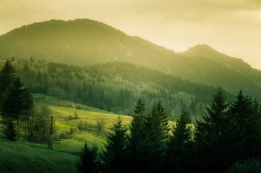 Tatra Dağları güzel hillside toplayan. Sıcak yaz haze, renkli kontrast bak.