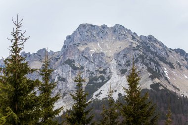 Güzel bir dağ geçmek Slovakya'daki Tatra Dağları'nın peyzaj. 