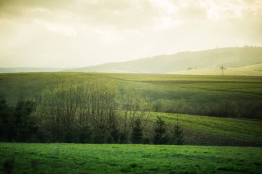 Slovakya güzel alan toplayan. Sıcak yaz haze, renkli kontrast bak.