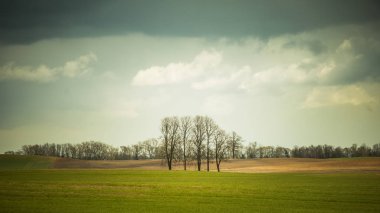 Slovakya güzel alan toplayan. Sıcak yaz haze, renkli kontrast bak.