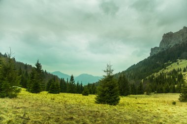 Güzel bir dağ geçmek Slovakya'daki Tatra Dağları'nın peyzaj. 