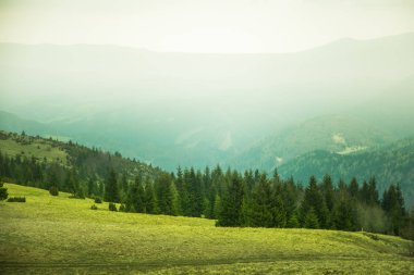 Güzel bir dağ geçmek Slovakya'daki Tatra Dağları'nın peyzaj. 