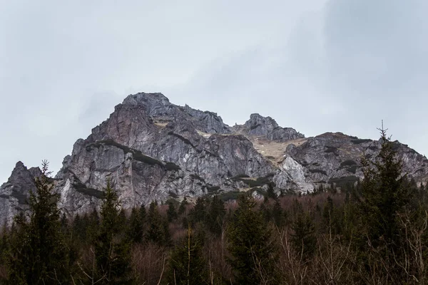 Sebuah gunung yang indah melewati lanskap pegunungan Tatra di Slowakia . — Stok Foto