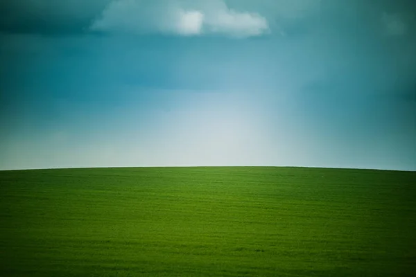 Eine schöne Feldkulisse der Slowakei. warmer Sommerdunst, farbenfroher Kontrast. — Stockfoto