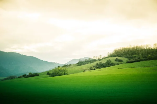 Eine schöne Feldkulisse der Slowakei. warmer Sommerdunst, farbenfroher Kontrast. — Stockfoto