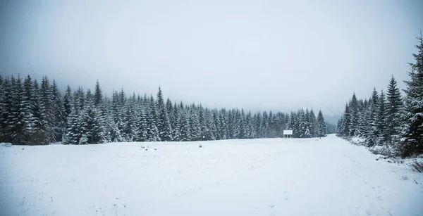 Een mooie winter bergen bos landschap met een weg. Westelijke Tatra mountains in Slowakije — Stockfoto