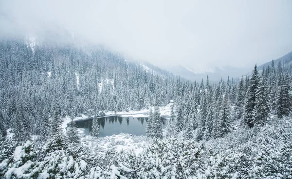Piękny zimowy krajobraz z jeziorem górskim w blizzard. Zachodnich Tatr na Słowacji — Zdjęcie stockowe